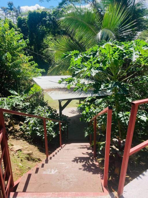 Ferienwohnung Ohana Location Ravissant Appart Spacieux Parking Gratuit A Uturoa Exterior foto